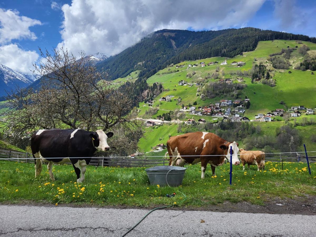 Bergbauernhof-Grinzens Apartment ภายนอก รูปภาพ